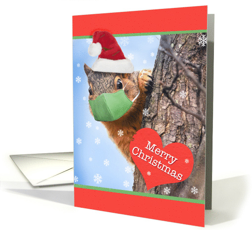 Merry Christmas Squirrel in Coronavirus Face Mask Humor card (1636350)
