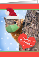 Merry Christmas Squirrel in Coronavirus Face Mask Humor card