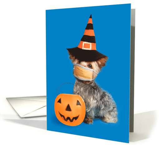 Happy Halloween Yorkie Dog in Coronavirus Face Mask Humor card