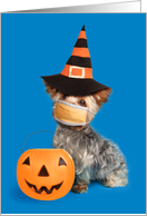 Happy Halloween Yorkie Dog in Coronavirus Face Mask Humor card