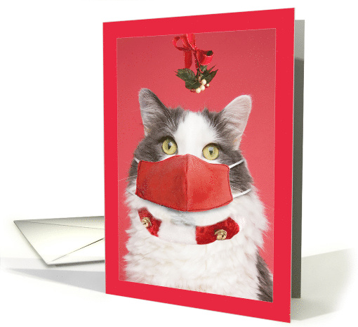 Merry Christmas Mistletoe Cat in Face Mask Coronavirus Humor card