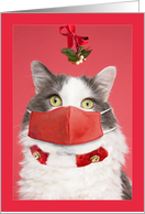 Merry Christmas Mistletoe Cat in Face Mask Coronavirus Humor card