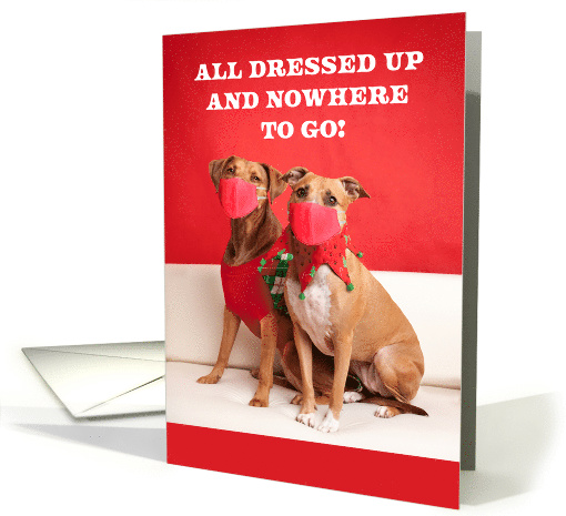 Merry Christmas Dogs in Coronavirus Face Masks Humor card (1637244)