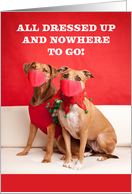 Merry Christmas Dogs in Coronavirus Face Masks Humor card