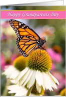 Happy Grandparents Day Beautiful Monarch Butterfly Photograph card