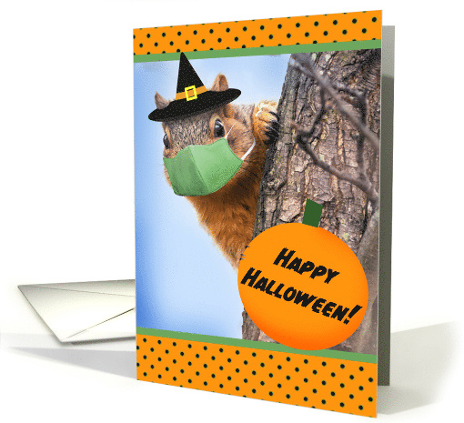 Happy Halloween Squirrel in Coronavirus Face Mask Humor card (1638122)