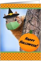 Happy Halloween Squirrel in Coronavirus Face Mask Humor card