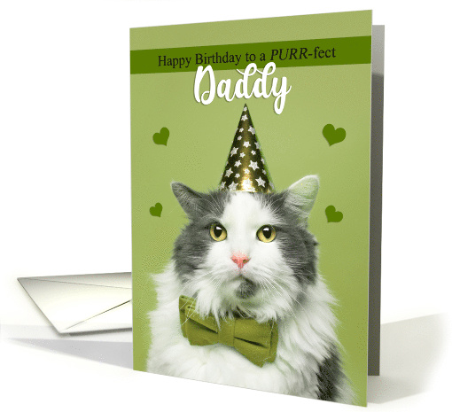 Happy Birthday Daddy Cat in Party Hat and Bow Tie Humor card (1639408)