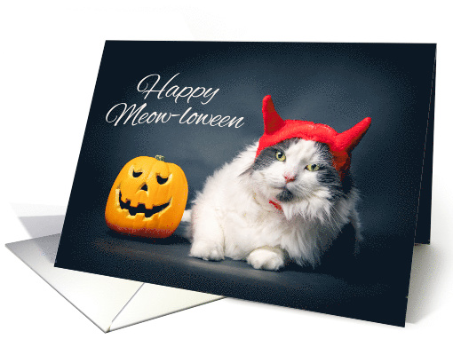 Happy Halloween For Anyone Cat in Devil Costume Humor card (1639608)