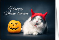 Happy Halloween For Anyone Cat in Devil Costume Humor card