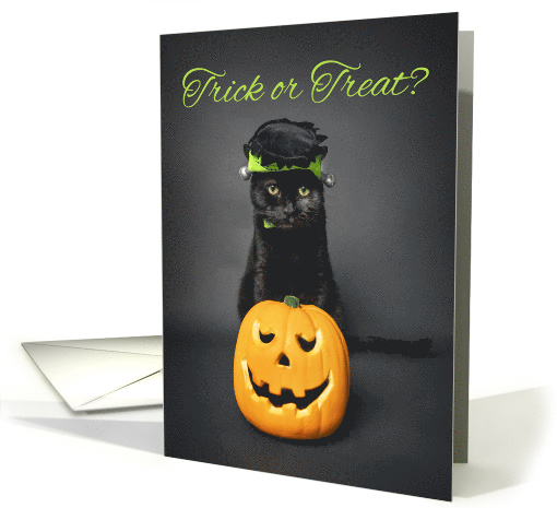 Happy Halloween For Anyone Cat iin Monster Costume Humor card