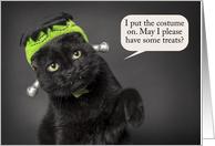 Happy Halloween For Anyone Cute Cat in Frankenstein Costume Humor card