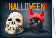 Happy Halloween For Anyone Cute Cat in Devil Costume Humor card
