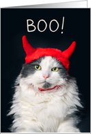 Happy Halloween For Anyone Cute Cat in Devil Costume Humor card