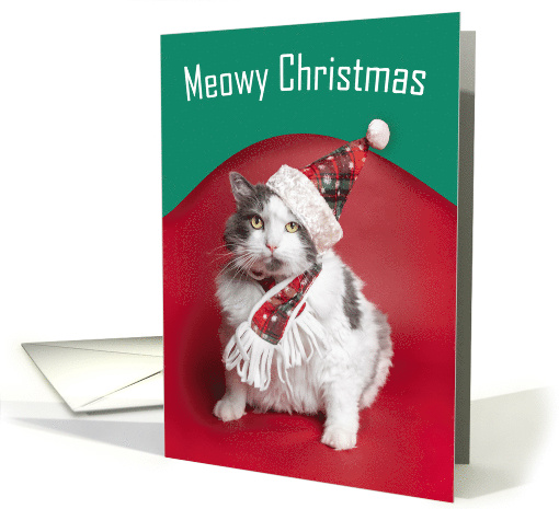 Merry Christmas Cute Cat in Holiday Hat and Scarf Humor card (1639814)