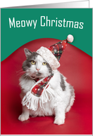 Merry Christmas Cute Cat in Holiday Hat and Scarf Humor card