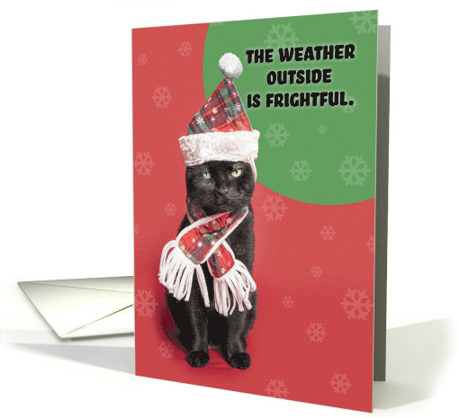 Merry Christmas Grumpy Black Cat in Holiday Hat and Scarf Humor card