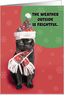 Merry Christmas Grumpy Black Cat in Holiday Hat and Scarf Humor card