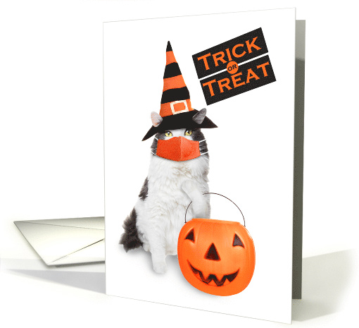 Happy Halloween For Anyone Cute Cat in Coronavirus Face Humor card