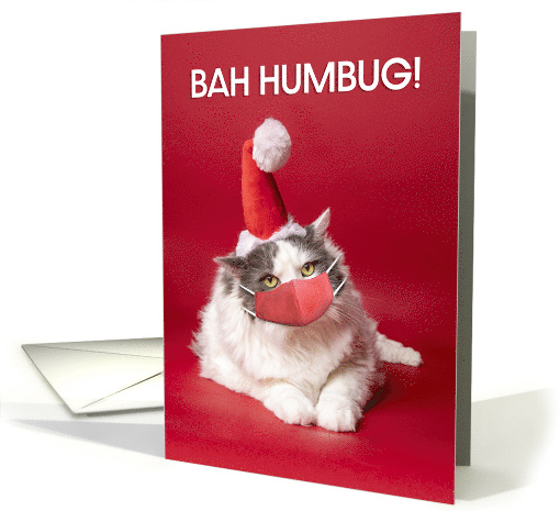 Merry Christmas Bah Humbug Cat in Coronavirus Face Mask Humor card