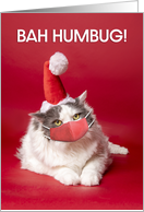 Merry Christmas Bah Humbug Cat in Coronavirus Face Mask Humor card