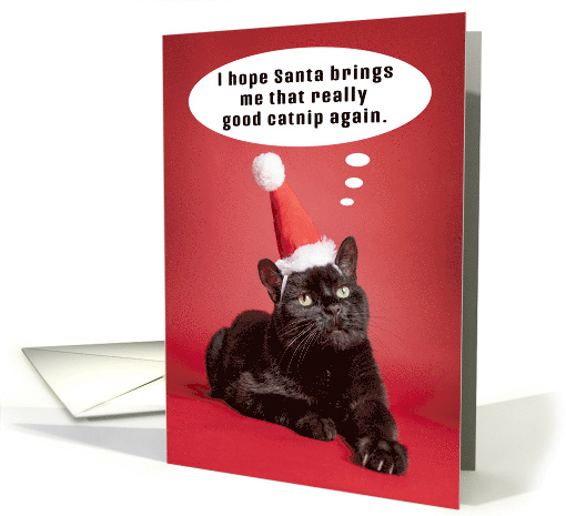 Merry Christmas Funny Cat Thinking of Catnip Humor card (1640814)