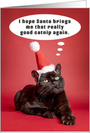 Merry Christmas Funny Cat Thinking of Catnip Humor card