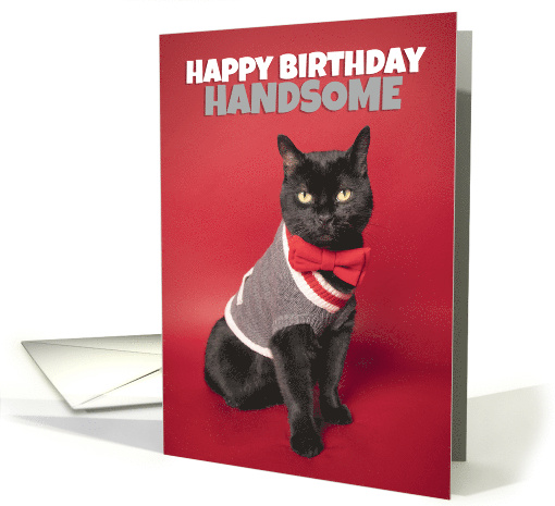Happy Birthday For Him Cute Handsome Cat Humor card (1640828)