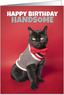Happy Birthday For Him Cute Handsome Cat Humor card