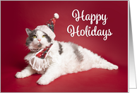 Happy Holidays Cute Cat in Christmas Hat and Scarf Humor card
