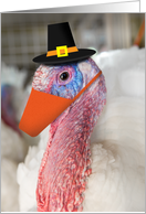 Happy Thanksgiving Turkey in Coronavirus Face Mask Humor card