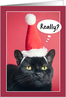 Merry Christmas Annoyed Cat in Santa Hat Humor card