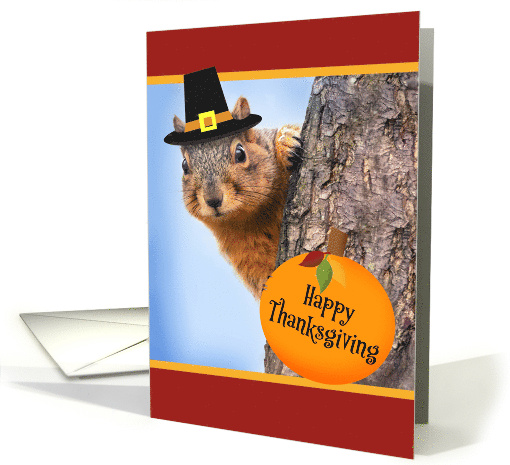 Happy Thanksgiving For Anyone Cute Squirel in Pilgrim Hat card