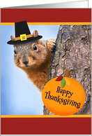 Happy Thanksgiving For Anyone Cute Squirel in Pilgrim Hat card
