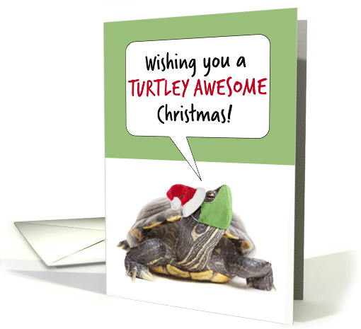 Merry Christmas Turtle in Santa Hat and Covid Face Mask Humor card