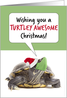 Merry Christmas Turtle in Santa Hat and Covid Face Mask Humor card