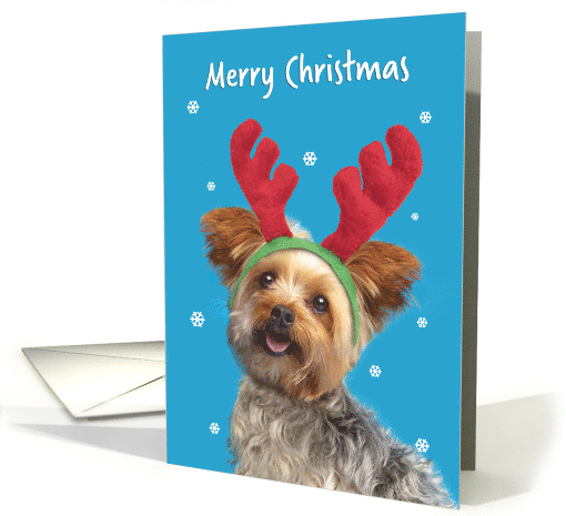 Merry Christmas Cute Yorkie Dog in Reindeer Ears Humor card (1643886)