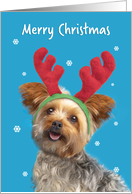 Merry Christmas Cute Yorkie Dog in Reindeer Ears Humor card