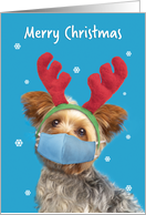 Merry Christmas Yorkie Dog in Reindeer Ears and Face Mask Humor card