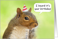 Happy Birthday For Anyone Cute Squirrel in Party Hat Humor card