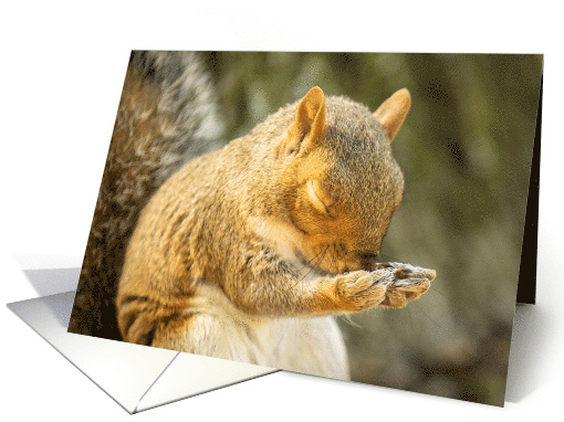 Praying For You Squirrel With Eyes Closed in Prayer Encouragment card