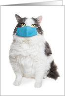 I Miss Seeing Your Face Fat Cat in Coronavirus Face Mask Humor card