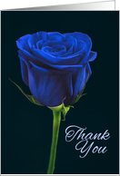 Thank You Police Blue Rose Photograph card