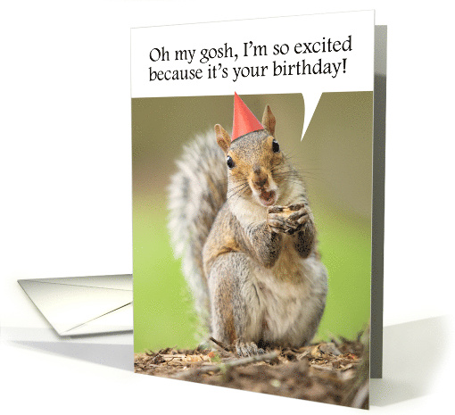 Happy Birthday For Anyone Cute Squirrel in Party Hat Humor card