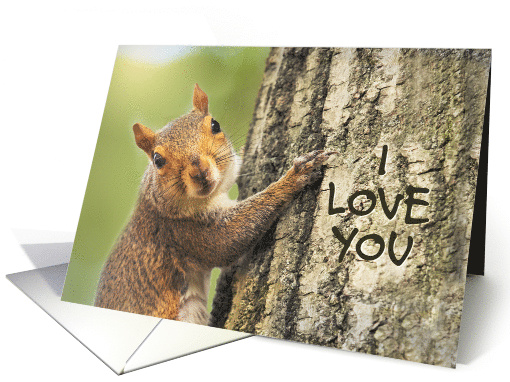 I Love You Cute Squirrel Climbing Tree Photograph card (1647116)