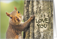 I Love You Cute Squirrel Climbing Tree Photograph card