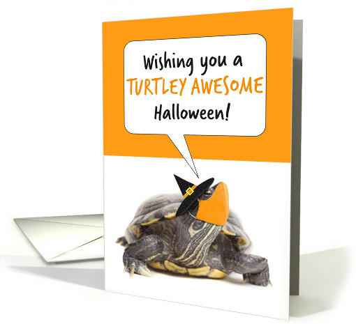 Happy Halloween Turtle in Witch Hat and Face Mask Humor card (1647162)