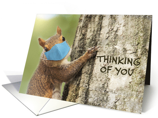 Thinking of You Cute Squirrel in Coronavirus Face Mask card (1647218)
