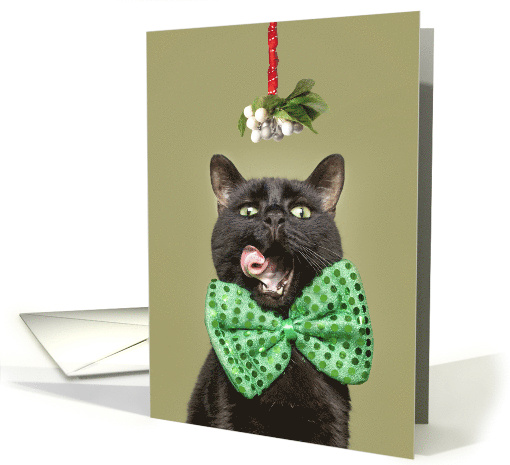 Merry Christmas Cat in Bow Tie Under Mistletoe Humor card (1647224)