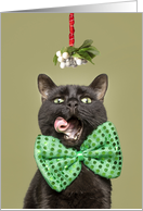 Merry Christmas Cat in Bow Tie Under Mistletoe Humor card